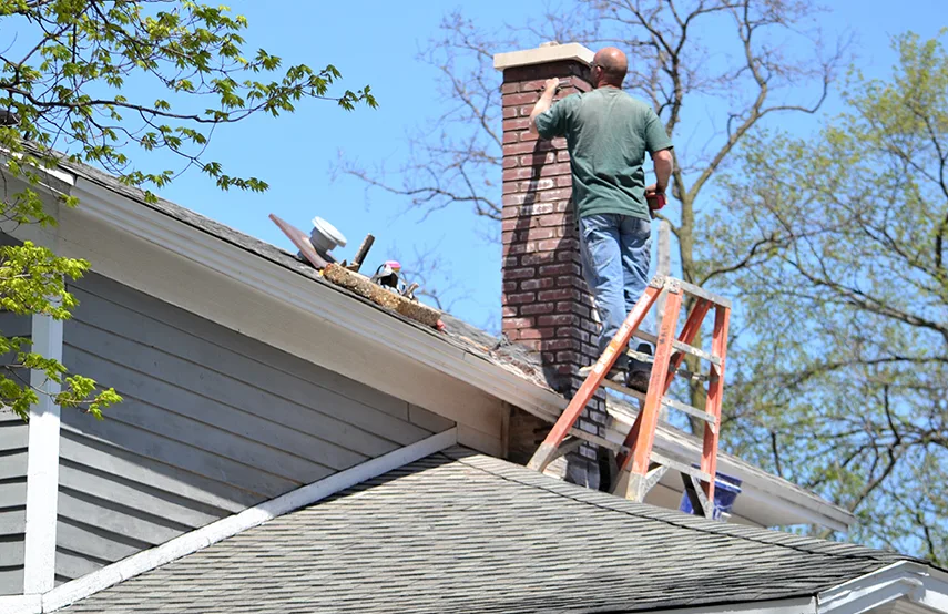 Chimney & Fireplace Inspections Services in Inkster, MI